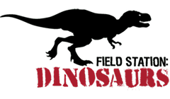 Field Station Dinosaurs